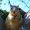 Photo of Kathie S.