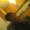 Photo of Qype User (nicodo…)