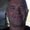Photo of Jeff K.