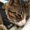 Photo of Leisa M.