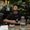 Photo of Kien L.