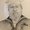 Photo of Bob M.