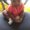 Photo of Ronisha M.