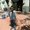 Photo of Ahmed T.