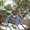 Photo of Corey M.