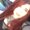 Photo of Shawna B.