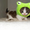 Photo of Jina K.