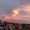 Photo of Tomara Y.
