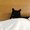 Photo of Carina F.