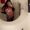 Photo of Amber P.