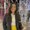 Photo of Julissa M.
