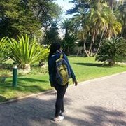 google avatar