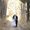 Photo of Shahar A.
