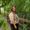 Photo of Francine S.