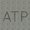 Photo of Avid T.