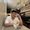 Photo of Lanze A.