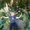 Photo of CatGirl P.