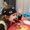Photo of Herbal W.