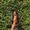 Photo of Karina K.