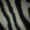 Photo of Meg S.