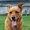 Photo of Nancy O.