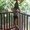 Photo of Meghna N.