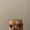 Photo of AidanKing 1.