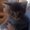 Photo of Yvette J.