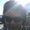 Photo of Saeah T.