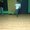 Photo of Bully Brigade P.