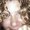 Photo of Tracy S.