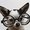 Photo of Anonny Mouse F.