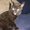 Photo of Qype User (Beck…)