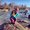 Photo of Alyssa M.