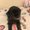 Photo of Anthyanna R.