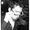 Photo of Steve S.