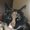 Photo of R R.