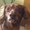 Photo of Sheryl D.