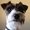 Photo of Rusty G.