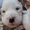 Photo of Qype User (Albine…)