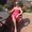 Photo of Leigh-Ann E.