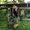 Photo of Katelyn C.