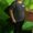 Photo of Preeti B.
