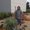 Photo of Shahnaz S.