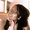 Photo of Sheree T.