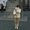 Photo of Qype User (Mone…)