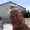 Photo of Sean R.