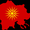 Photo of Goran S.