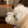 Bella A.