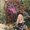 Photo of Dawn K.